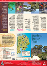 Bush to Beach Brochure