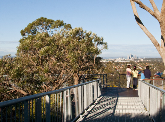 Reabold Hill, Floreat