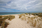 City Beach Dunes by Sally Wallace
