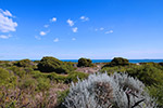 Indian Ocean from Challenger Parady by Sally Wallace