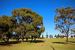 jubilee-park-sally-wallace-tn