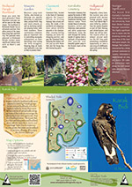 Bush to Beach Brochure