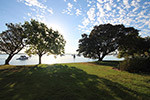 Sunrise over Matilda Bay by Sally Wallace