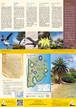Bush to Beach Brochure