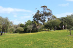 Walking in Minim Cove by Sally Wallace