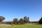 Wembley Golf Course by Sally Wallace